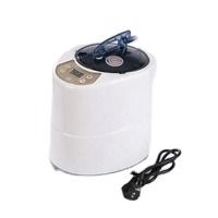 4.2L 220V/110V USA EU Stecker Moderner Hochwertiger Dampfer Tragbarer Elektrischer Sauna-Dampfgenerator Saunaheizung für Indoor-Saunaraum